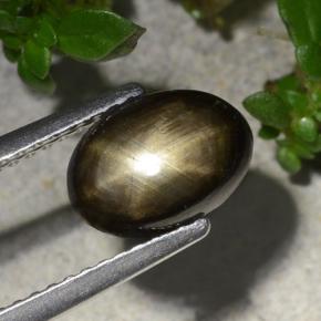 Star Sapphire Gemstone in 8.9 x 6.4 mm Size for Sale, Star Sapphire Stone in Black Color