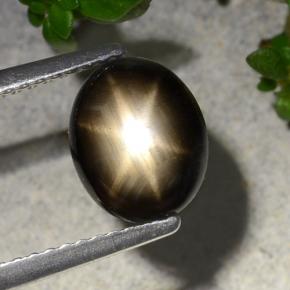 2.1ct Oval Cabochon Black Star Sapphire for sale thumb image of 2.1ct Oval Cabochon Black Star Sapphire (ID: 486812)