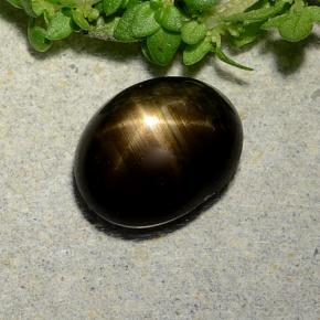 2.31 ct Black Star Sapphire Stone, Natural Star Sapphire in Oval Cabochon Shape for Sale