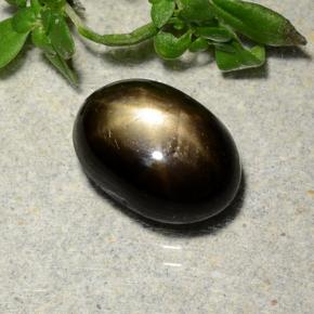 Negro Zafiro Estrella Gema - 2.9ct Cabujón Óvalo (ID: 486881)