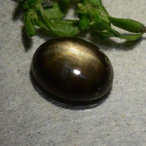 2.9ct Oval Cabochon Black Star Sapphire for sale thumb image of 2.9ct Oval Cabochon Black Star Sapphire (ID: 486882)
