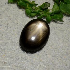 Черный Звездчатый Сапфир Камень - 2.4ct Овал Кабошон (ID: 486885)