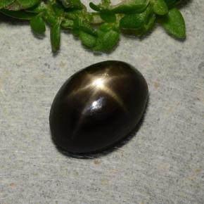 Черный Звездчатый Сапфир Камень - 2.1ct Овал Кабошон (ID: 486887)