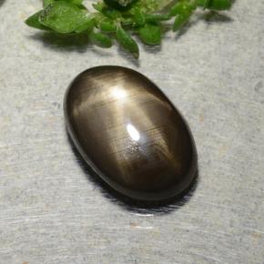 Black Star Sapphire Gem - 2.2ct Oval Cabochon (ID: 486893)