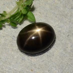 1.9ct Oval Cabochon Black Star Sapphire for sale thumb image of 1.9ct Oval Cabochon Black Star Sapphire (ID: 486896)