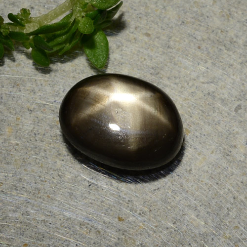 Black Star Sapphire Gem - 1.9ct Oval Cabochon (ID: 486897)