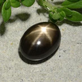 Black Star Sapphire Gem - 2.8ct Oval Cabochon (ID: 486995)