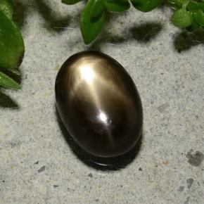 1.6ct Oval Cabochon Black Star Sapphire for sale thumb image of 1.6ct Oval Cabochon Black Star Sapphire (ID: 487000)