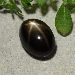 2.60 ct Black Star Sapphire Stone, Natural Star Sapphire in Oval Cabochon Shape for Sale