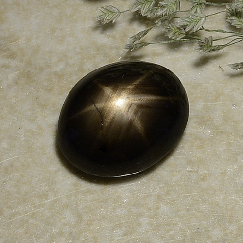 Black Star Sapphire Gem - 2.6ct Oval Cabochon (ID: 487055)