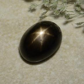 Black Star Sapphire Gem - 2.9ct Oval Cabochon (ID: 487058)