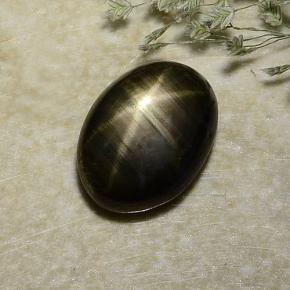 Black Star Sapphire Gem - 2.4ct Oval Cabochon (ID: 487059)