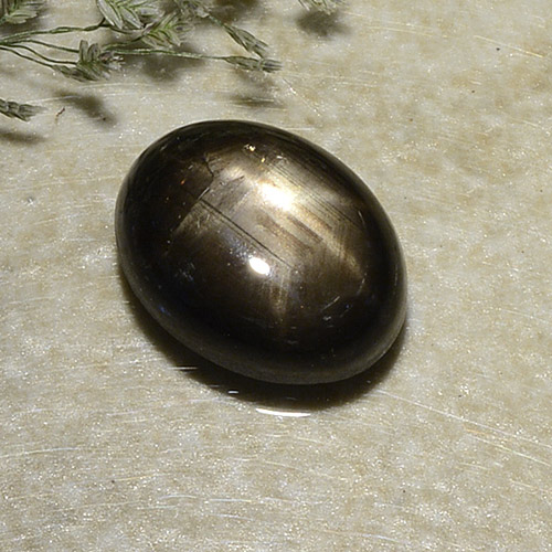Black Star Sapphire Gem - 2.9ct Oval Cabochon (ID: 487060)