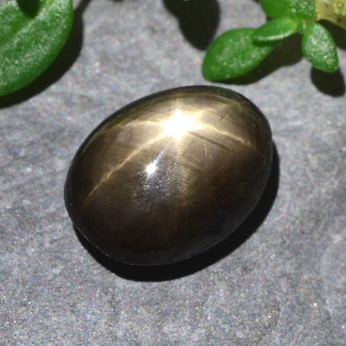 2.55 ct Black Star Sapphire Stone, Natural Star Sapphire in Oval Cabochon Shape for Sale
