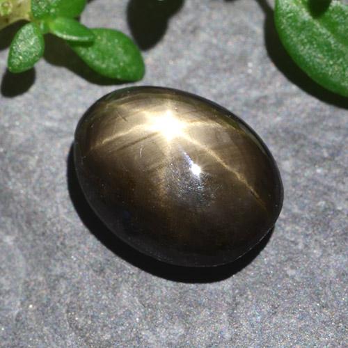 Star Sapphire Gemstone in 8.5 x 6.4 mm Size for Sale, Star Sapphire Stone in Black Color