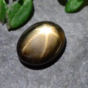 2.2ct Oval Cabochon Black Star Sapphire for sale thumb image of 2.2ct Oval Cabochon Black Star Sapphire (ID: 487169)