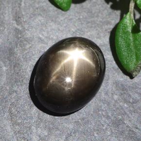 Черный Звездчатый Сапфир Камень - 2.2ct Овал Кабошон (ID: 487172)