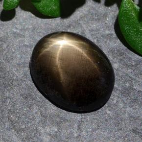 1.6ct Oval Cabochon Black Star Sapphire for sale thumb image of 1.6ct Oval Cabochon Black Star Sapphire (ID: 487247)