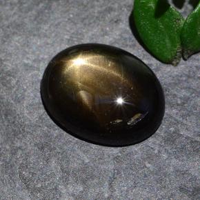 1.9ct Oval Cabochon Black Star Sapphire for sale thumb image of 1.9ct Oval Cabochon Black Star Sapphire (ID: 487251)