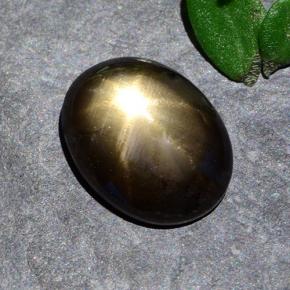 1.6ct Oval Cabochon Black Star Sapphire for sale thumb image of 1.6ct Oval Cabochon Black Star Sapphire (ID: 487256)