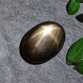 Черный Звездчатый Сапфир Камень - 1.9ct Овал Кабошон (ID: 487680)
