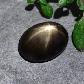 Schwarz Sternsaphir Edelstein - 2.2ct Oval Cabochon (ID: 487683)