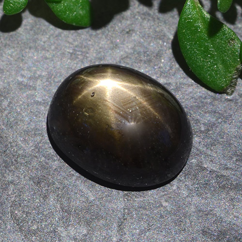 Black Star Sapphire Gem - 2.5ct Oval Cabochon (ID: 487687)