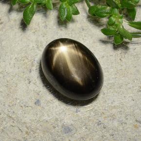 3.73 ct Black Star Sapphire Stone, Natural Star Sapphire in Oval Cabochon Shape for Sale