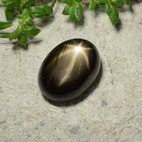 Star Sapphire Gemstone in 9.1 x 6.7 mm Size for Sale, Star Sapphire Stone in Black Color