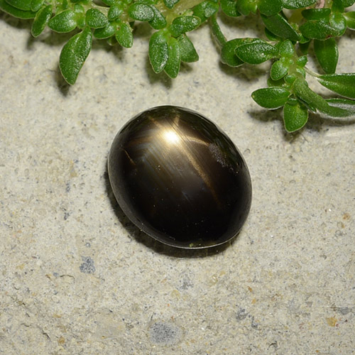 11.9x9.6mm 8.45 carats 6 Ray Natural Black Star Sapphire Loose Gemstone cts Cabochon Wholesale Flowing Gems Corundum September Birthstone