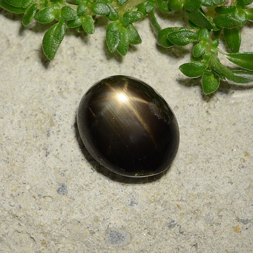 Black Star Sapphire Gem - 2.5ct Oval Cabochon (ID: 487946)