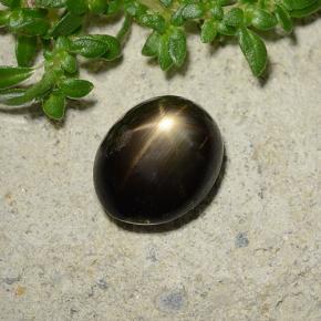 2.51 ct Black Star Sapphire Stone, Natural Star Sapphire in Oval Cabochon Shape for Sale