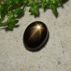 1.96 ct Black Star Sapphire Stone, Natural Star Sapphire in Oval Cabochon Shape for Sale