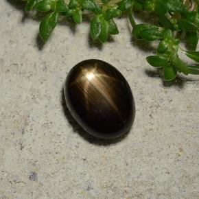 Star Sapphire Gemstone in 8 x 6 mm (calibrated) Size for Sale, Star Sapphire Stone in Black Color