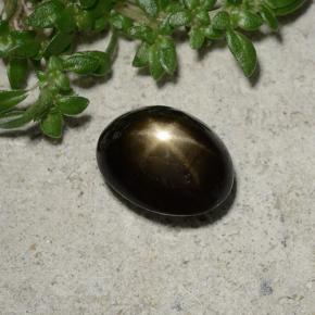 Star Sapphire Gemstone in 8.5 x 6.6 mm Size for Sale, Star Sapphire Stone in Black Color