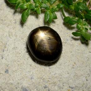 2.46 ct Black Star Sapphire Stone, Natural Star Sapphire in Oval Cabochon Shape for Sale