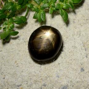 Star Sapphire Gemstone in 7.9 x 6.8 mm Size for Sale, Star Sapphire Stone in Black Color