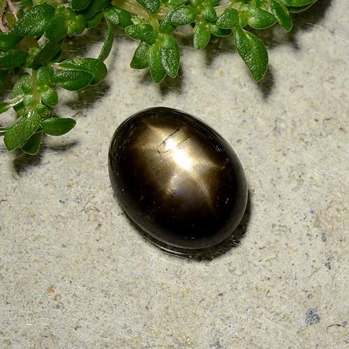 2.07 ct Black Star Sapphire Stone, Natural Star Sapphire in Oval Cabochon Shape for Sale
