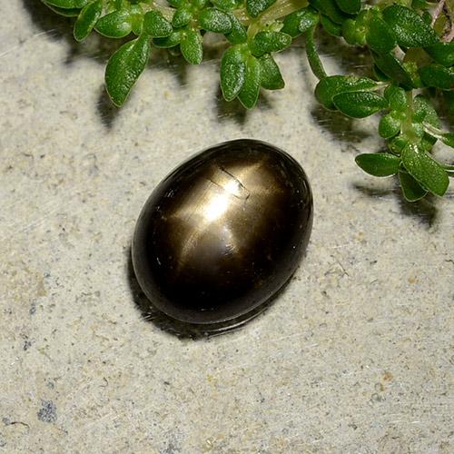 Star Sapphire Gemstone in 8.4 x 6.6 mm Size for Sale, Star Sapphire Stone in Black Color