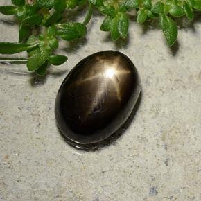 Black Star Sapphire Gem - 3.1ct Oval Cabochon (ID: 487953)