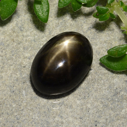 Черный Звездчатый Сапфир Камень - 2.9ct Овал Кабошон (ID: 488159)