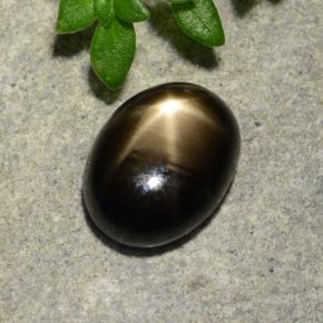 Black Star Sapphire Gem - 2.5ct Oval Cabochon (ID: 488160)