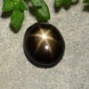 2ct Oval Cabochon Black Star Sapphire for sale thumb image of 2ct Oval Cabochon Black Star Sapphire (ID: 488161)