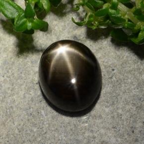 2.7ct Oval Cabochon Black Star Sapphire Gem for sale 2.7ct Oval Cabochon Black Star Sapphire Gem (ID: 488163)