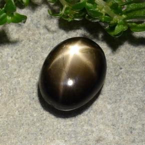 3ct Oval Cabochon Black Star Sapphire for sale thumb image of 3ct Oval Cabochon Black Star Sapphire (ID: 488166)