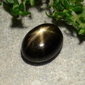 Schwarz Sternsaphir Edelstein - 2.8ct Oval Cabochon (ID: 488169)