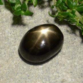 Black Star Sapphire Gem - 2.9ct Oval Cabochon (ID: 488170)