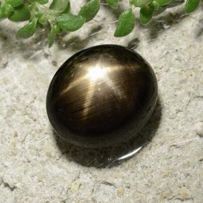 3.31 ct Black Star Sapphire Gemstone, Star Sapphire Gem in Oval Cabochon Shape for Sale.