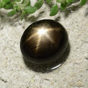Star Sapphire Gemstone in 8.3 x 7.3 mm Size for Sale, Star Sapphire Stone in Black Color
