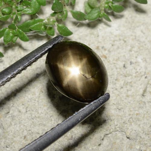 Black Star Sapphire Gem - 2.6ct Oval Cabochon (ID: 488639)